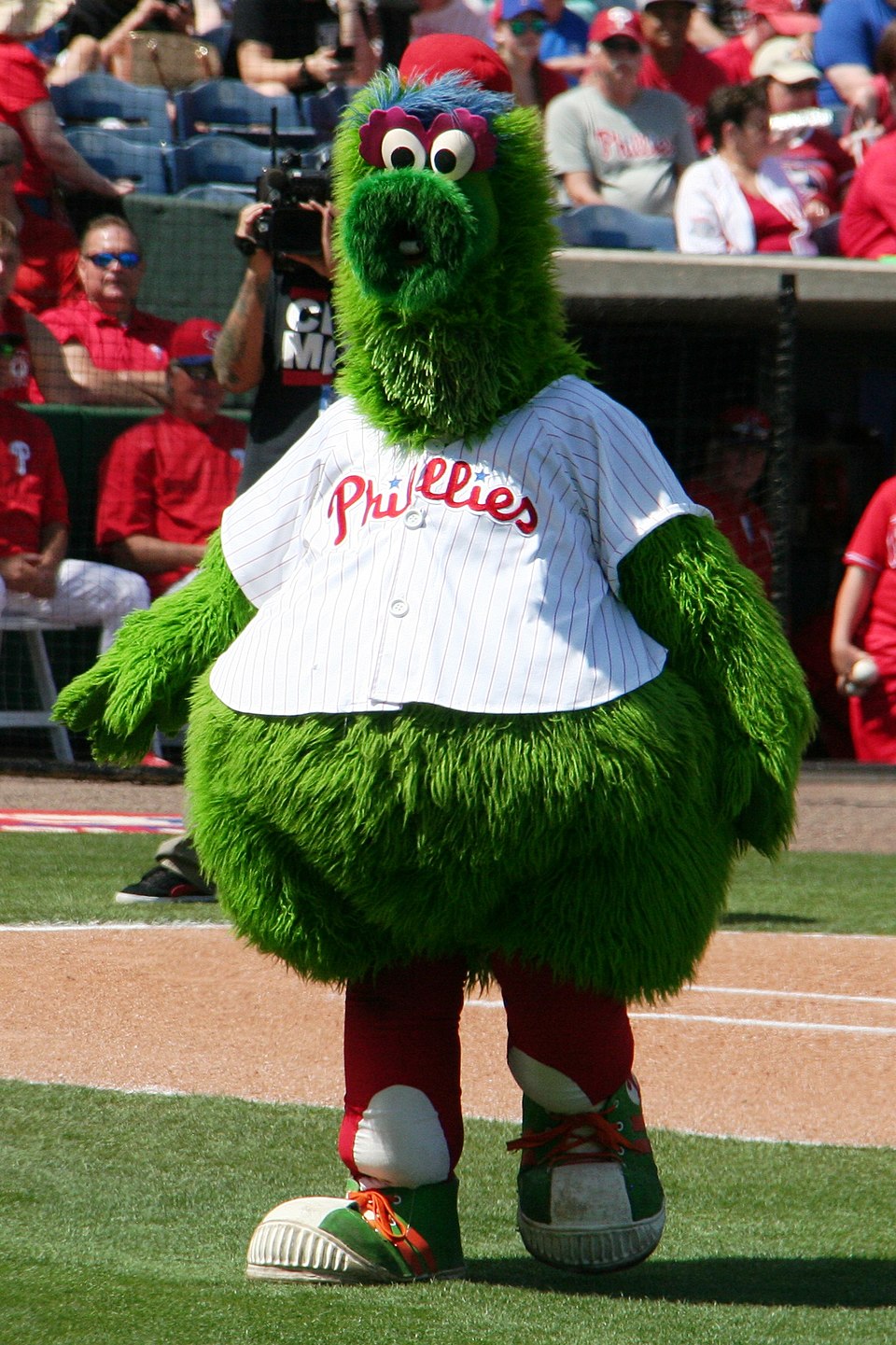The Phillie Phanatic standing on the field at a Phillies baseball game